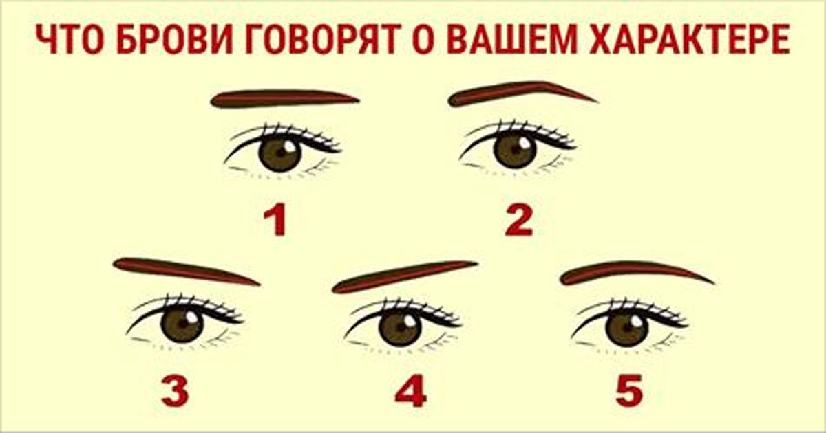 Что говорит о характере. Физиогномика брови. Характер по форме бровей. Характер по бровям. Брови характер человека.